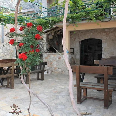 Apartment 8753d *